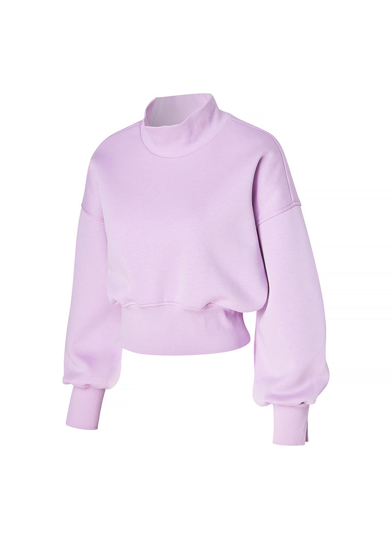 Warm Soft Highneck Crop Sweatshirt